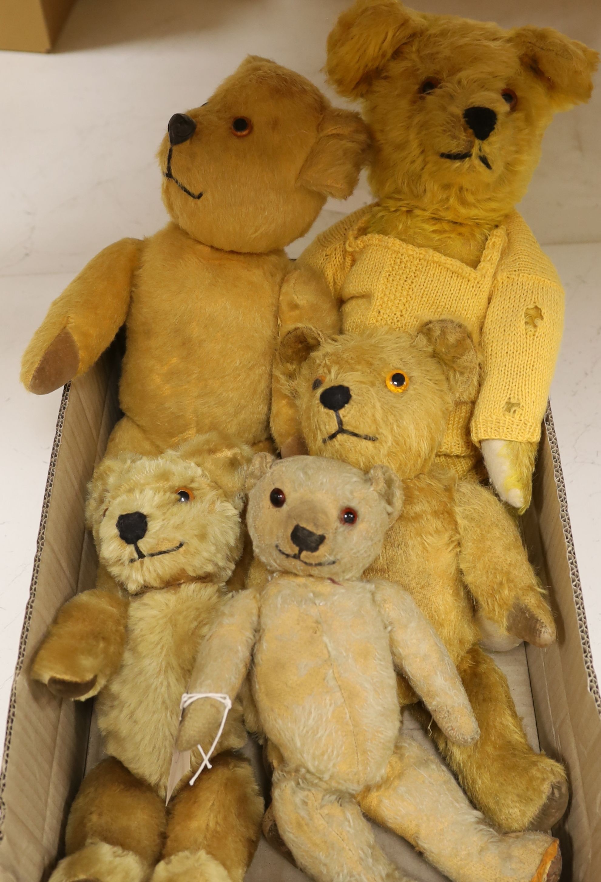 Five English Bears Including One Magna Remains of Label - Two Pedigree.